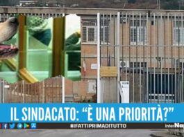 Detenuto rincontra il suo cane nel carcere di Salerno, è polemica