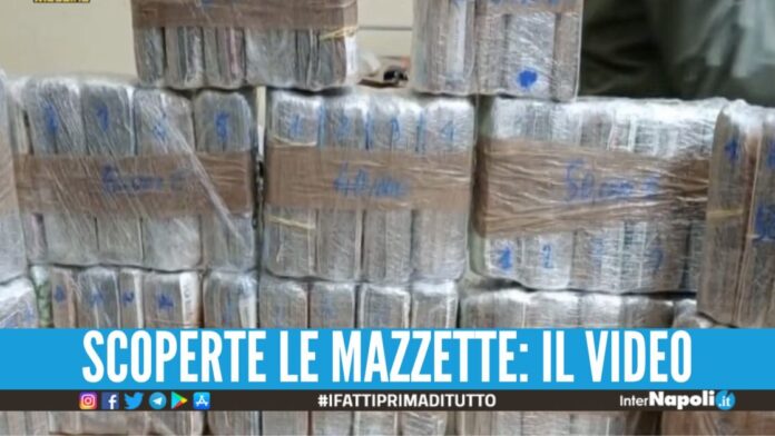 Nasconde 600mila euro in contanti nel borsone, scoperto dal cane Haidy