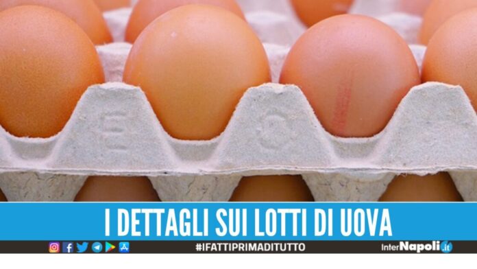 Rischio microbiologico, Carrefour richiama tre lotti di uova