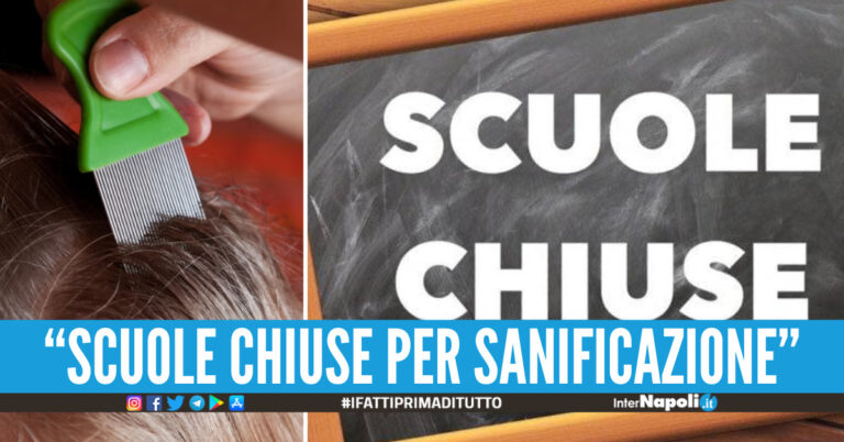 Epidemia di pidocchi tra gli alunni, il sindaco di Cesa chiude le scuole