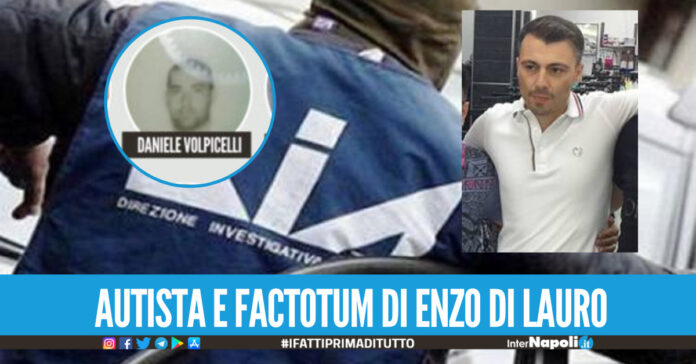 Daniele Volpicelli,