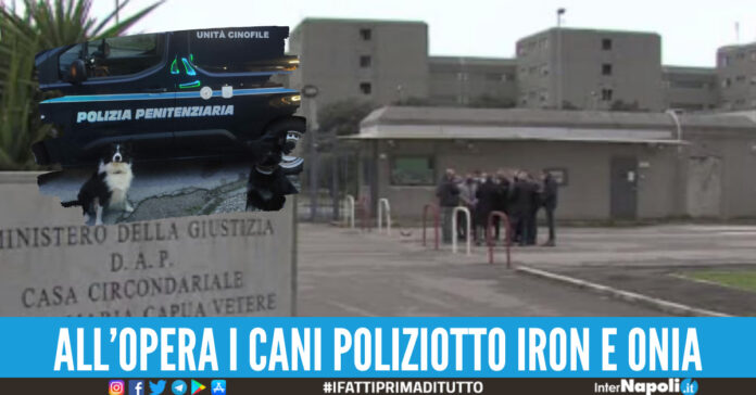 droga panni stesi santa maria capua vetere