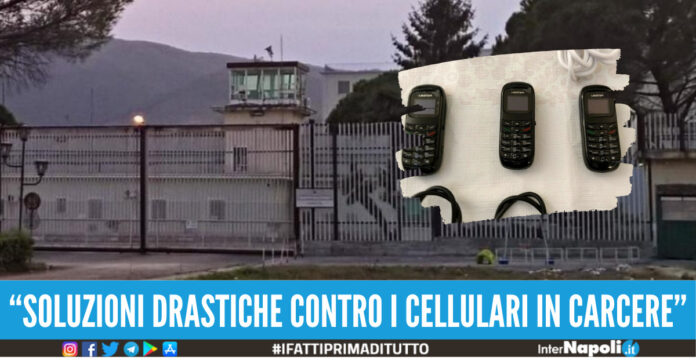 cellulari carcere carinola