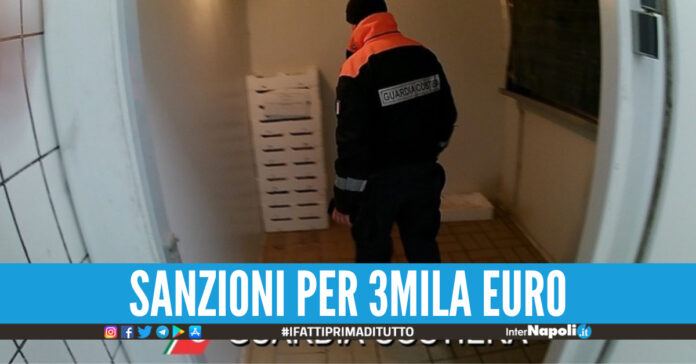 Controlli mercato ittico
