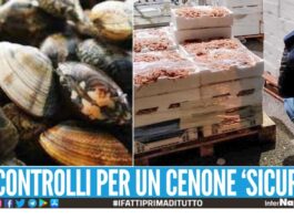 Chiuse 2 pescherie a Castellammare, trovati pesci e crostacei 'illegali'
