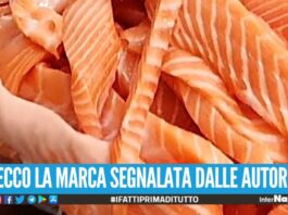 Salmone contaminato, scatta l'allarme anche in Italia