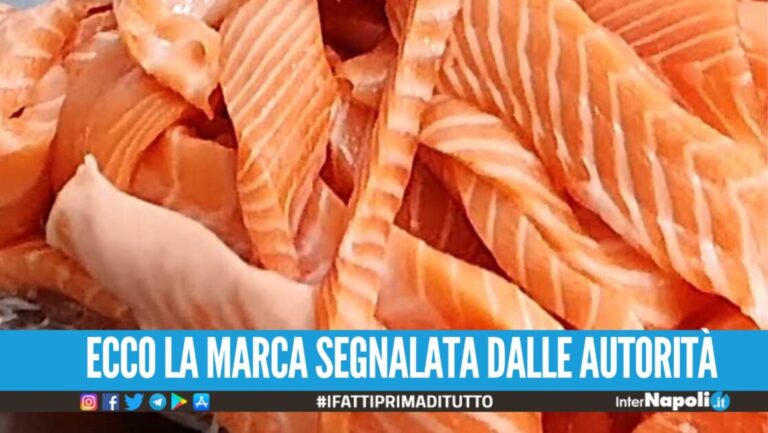 Salmone contaminato, scatta l'allarme anche in Italia