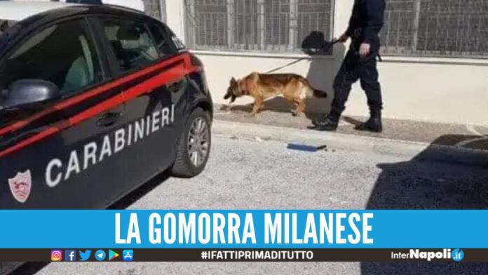 Scontro tra 3 narco-gruppi per lo spaccio, indagine da Milano a Caserta