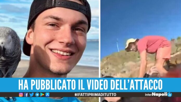 Attaccato da uno squalo, Matteo si filma mentre gli stacca una gamba. mariotti