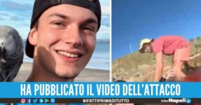 Attaccato da uno squalo, Matteo si filma mentre gli stacca una gamba. mariotti