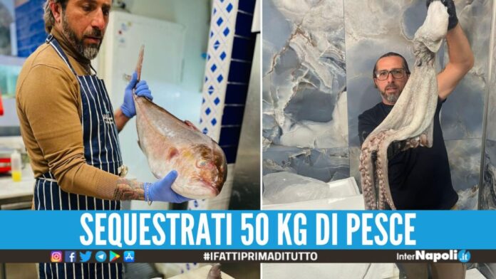 Presunto killer di camorra arrestato nella sua risto-pescheria, scatta anche il blitz dei Nas
