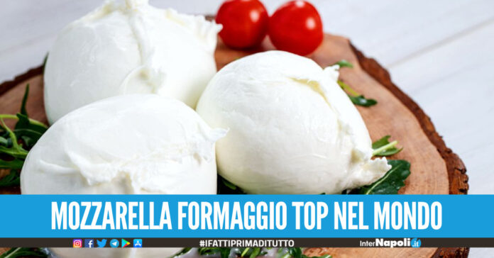 Riconoscimento per la mozzarella di bufala campana Dop, è il secondo formaggio top nel mondo