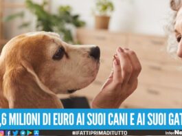 Ricca anziana lascia un patrimonio di 2,6 milioni di euro ai suoi animali:"Non mi hanno mai abbandonata, i miei figli? Nemmeno una telefonata quando ero malata"