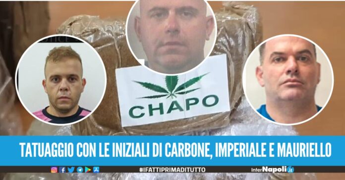 Droga importata dall'estero grazie alle chat criptate, così venivano rifornite le piazze di spaccio del Napoletano