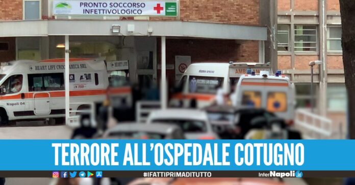 La diagnosi è sbagliata, prende l'estintore e spacca un vetro violenza all'ospedale Cotugno