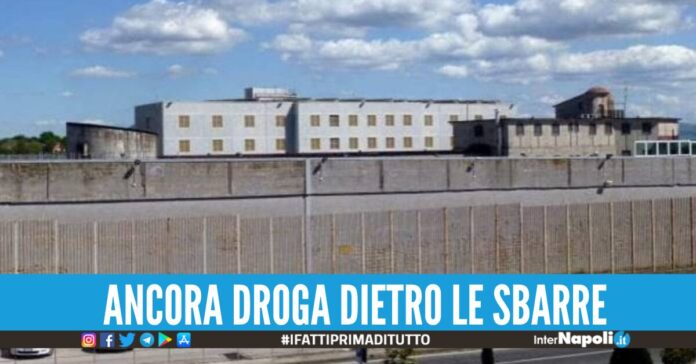 droga carcere avellino