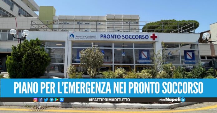 concorso