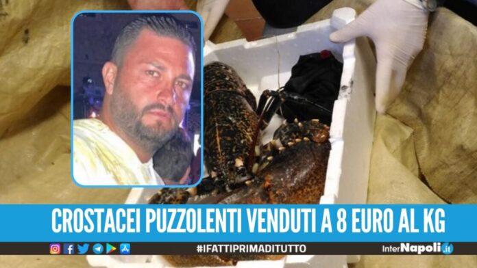 Vendevano astici in stato di decomposizione, gli affari del gruppo Festa fino a Ischitella