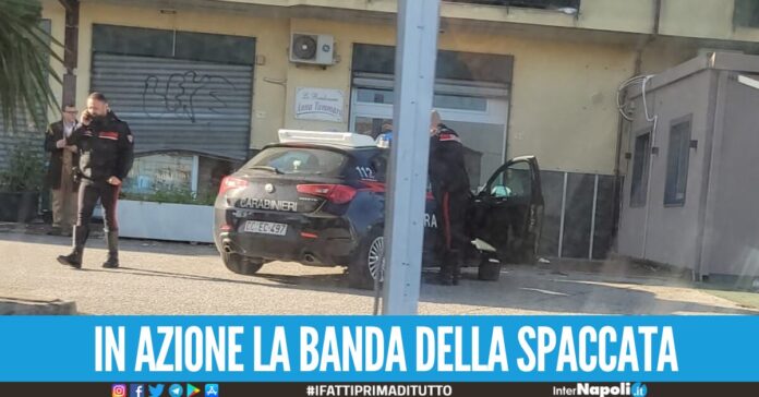 'Anna Tammaro Le Bomboniere'