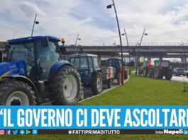 Protesta degli agricoltori: numerosi trattori ad Acerra, nel napoletano: "Siamo pronti ad una protesta ad oltranza"