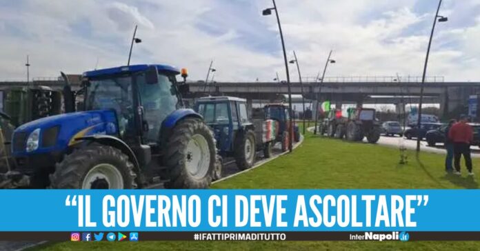 Protesta degli agricoltori: numerosi trattori ad Acerra, nel napoletano: 