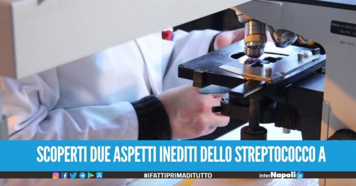 SCOPERTI DUE ASPETTI INEDITI DELLO STREPTOCOCCO A