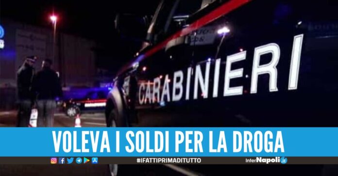 compagno