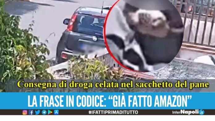 Ordinavano pagnotte ma era cocaina, centrale di spaccio al panificio