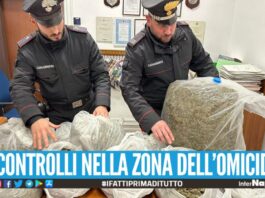 Scovati 33 kg di marijuana nel Napoletano, erano nascosti tra i rovi
