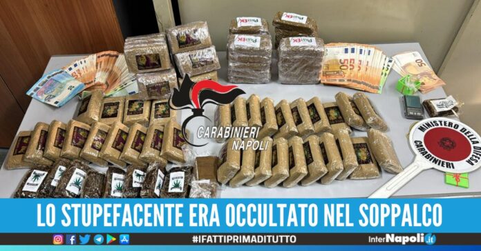 pozzuoli droga padre figlio