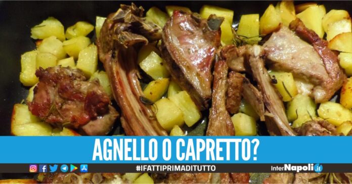 Differenze agnello e capretto