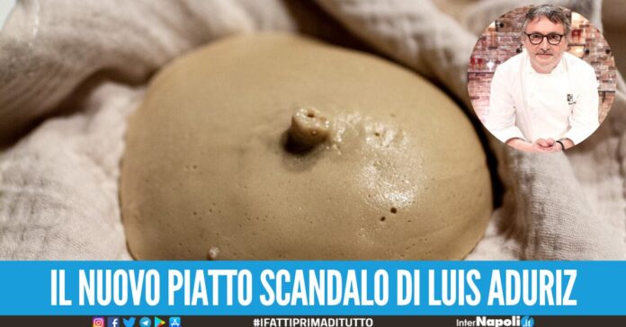 Il seno 