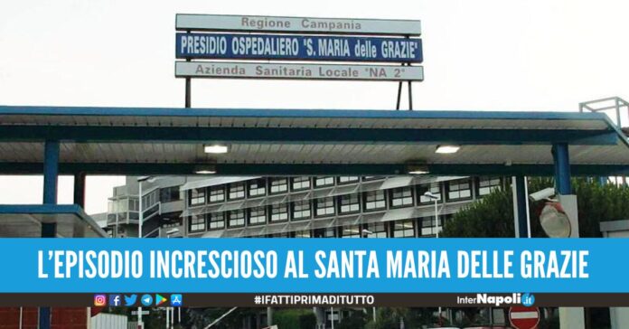 defeca