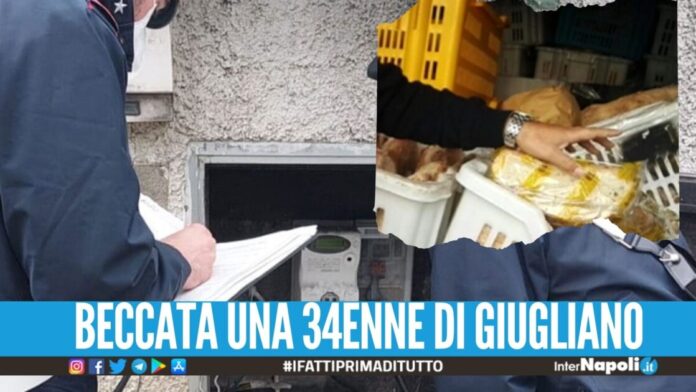 Furti di energia elettrica in 2 panetterie a Pianura, titolari ai domiciliari