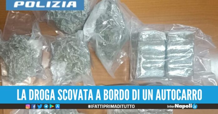 hashish ischia