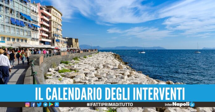 derattizzazione scogliere napoli