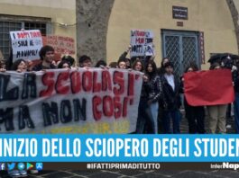 Domenico Cirillo protesta