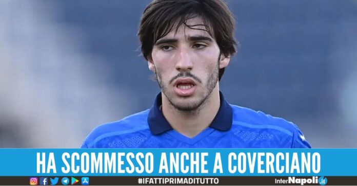 scommesse calcio sandro tonali squalifica