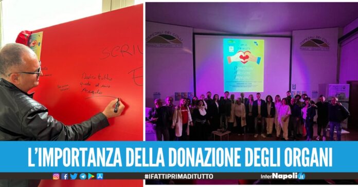 Al Monaldi le storie di Vincenzo, Pasquale, Adelaide e tanti altri sono rinati grazie alla donazione degli organi