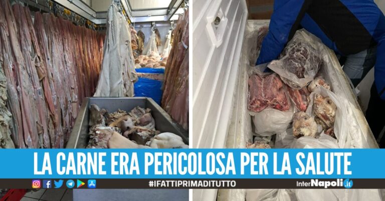 Carni lavorate in locali sporchi e abusivi, maxi sequestro da 8 tonnellate a Napoli
