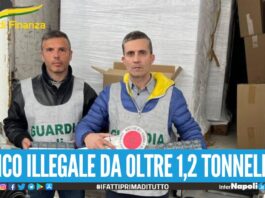 Furgone sospetto da Napoli al Casertano, fermato carico illegale: business da oltre 200mila euro