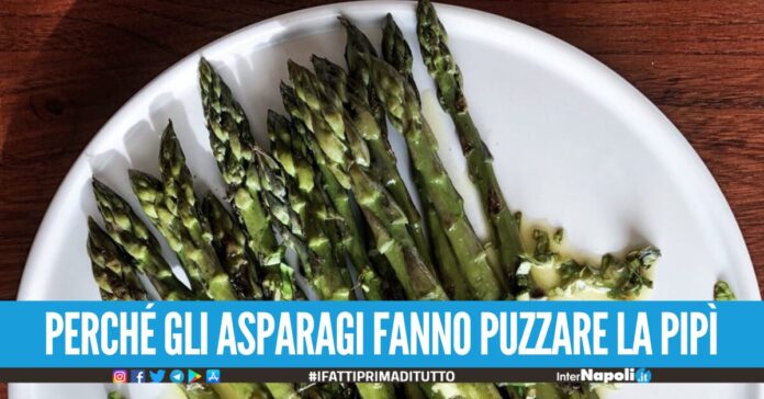 Perché gli asparagi fanno puzzare la pipì