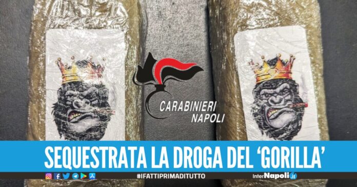Da Napoli ad Ischia con i panetti di droga del 'gorilla' arrestato pusher 20enne