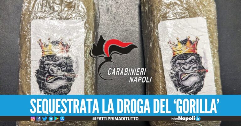 Da Napoli ad Ischia con i panetti di droga del 'gorilla' arrestato pusher 20enne
