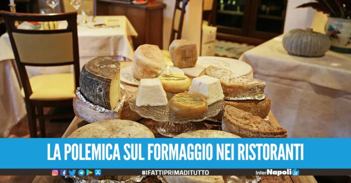Formaggio obbligatorio nei ristoranti italiani, è scontro tra Gambero Rosso e il ministro Lollobrigida
