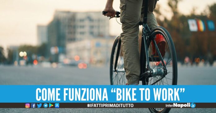 comune di battipaglia 1300 euro bici