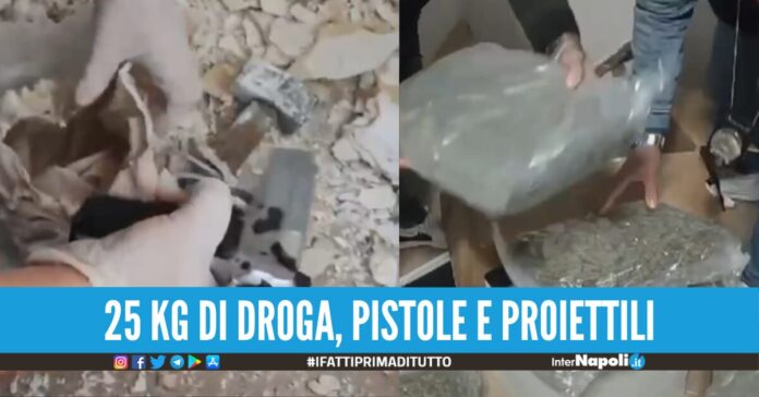 droga savorito