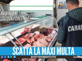 Carne 'sconosciuta' venduta nel Casertano, 37 kg sequestrati in macelleria