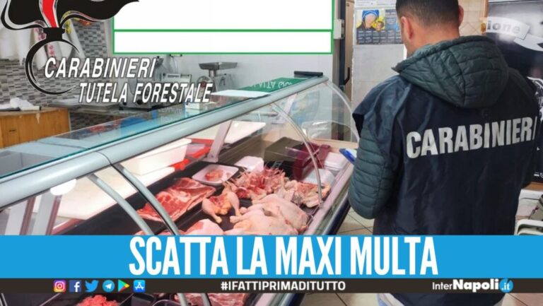 Carne 'sconosciuta' venduta nel Casertano, 37 kg sequestrati in macelleria