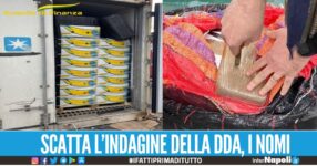 Accordo tra i narcos di Napoli e la 'ndrangheta, 15 arresti nel maxi blitz